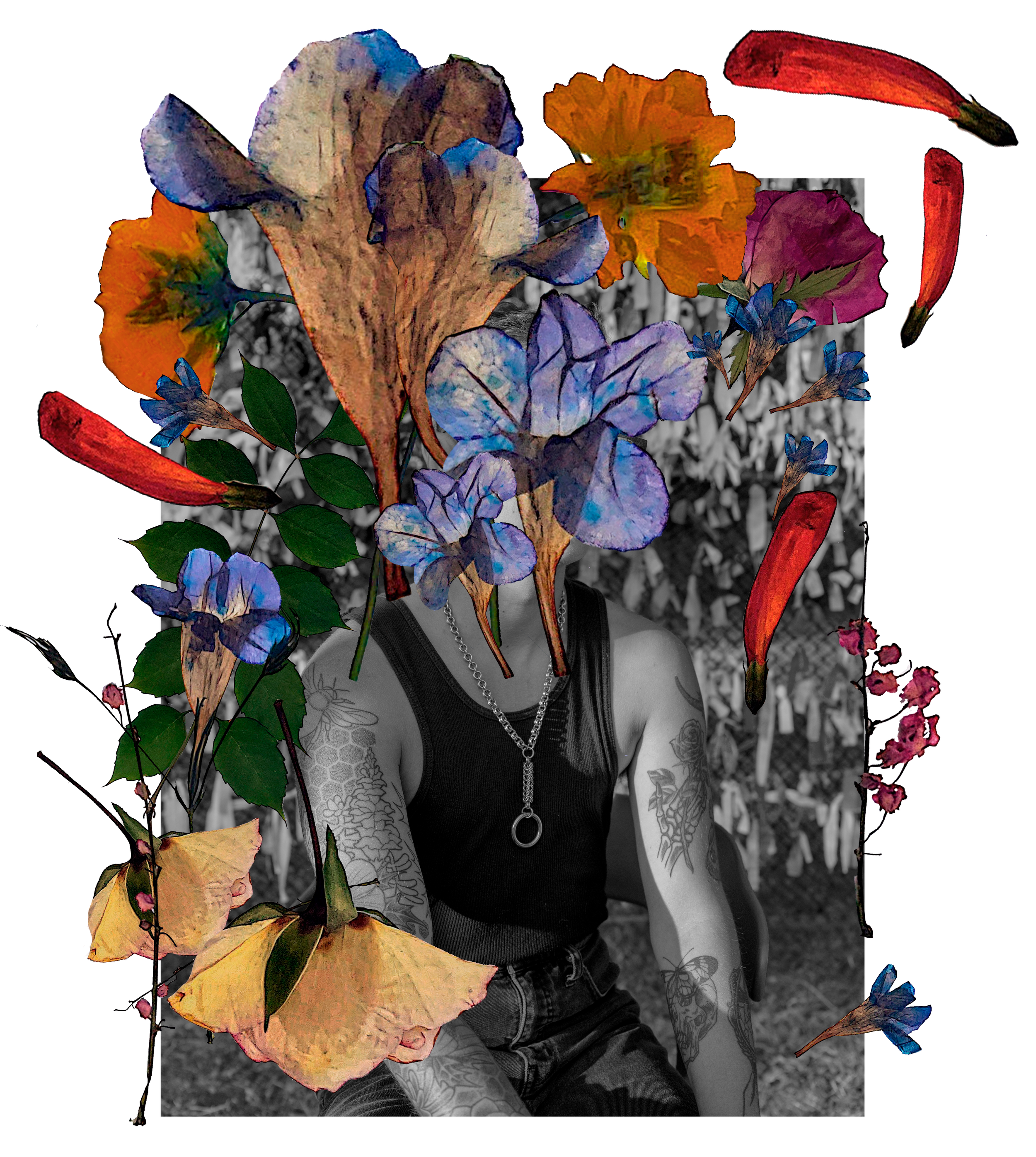 Nico Osier — Begin Collective